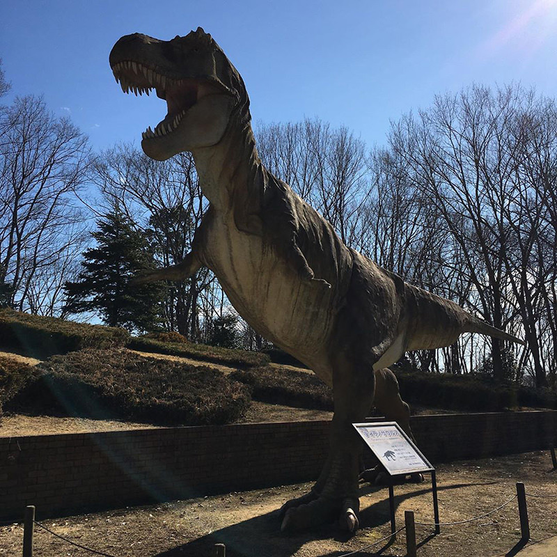 とちぎわんぱく公園