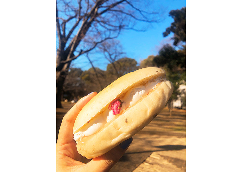 編集部パン写真