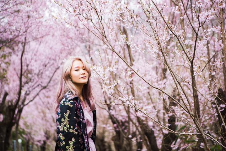 フォトジェニックなお花見スポットは福島にあり