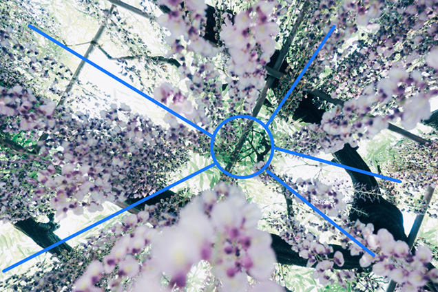 放射構図での1枚