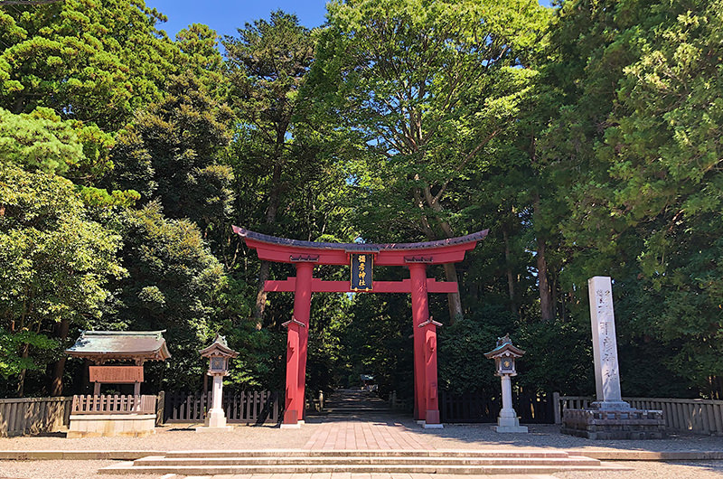 今行きたいパワースポット、彌彦神社。弥彦公園や温泉、パンダ焼きも！
