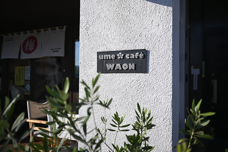 ume café WAON