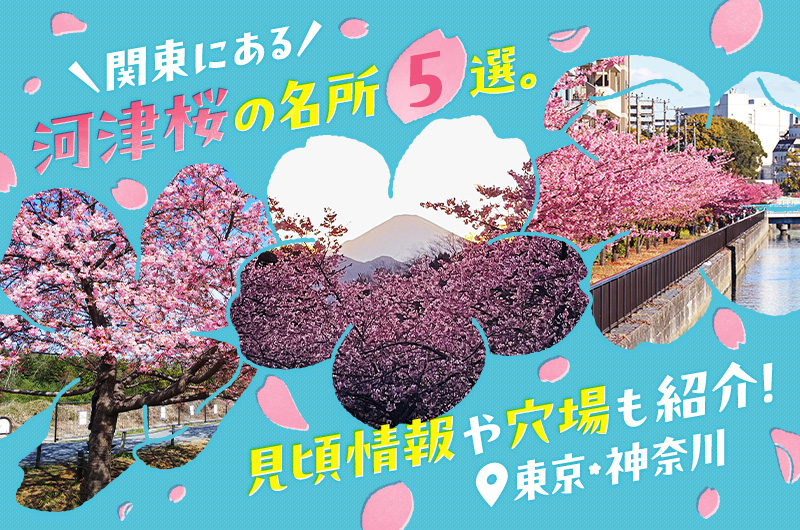 関東にある河津桜の名所5選。見頃情報や穴場も紹介！【東京・神奈川】