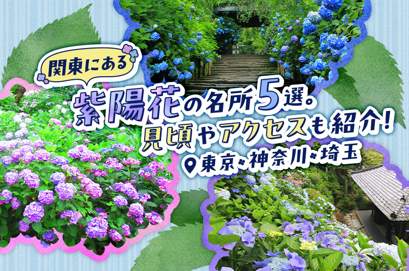 関東にある紫陽花の名所5選。見頃やアクセスも紹介！【東京・神奈川・埼玉】