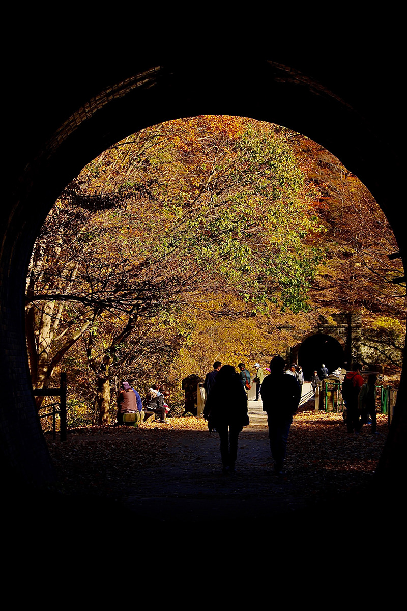 アプトの道の紅葉