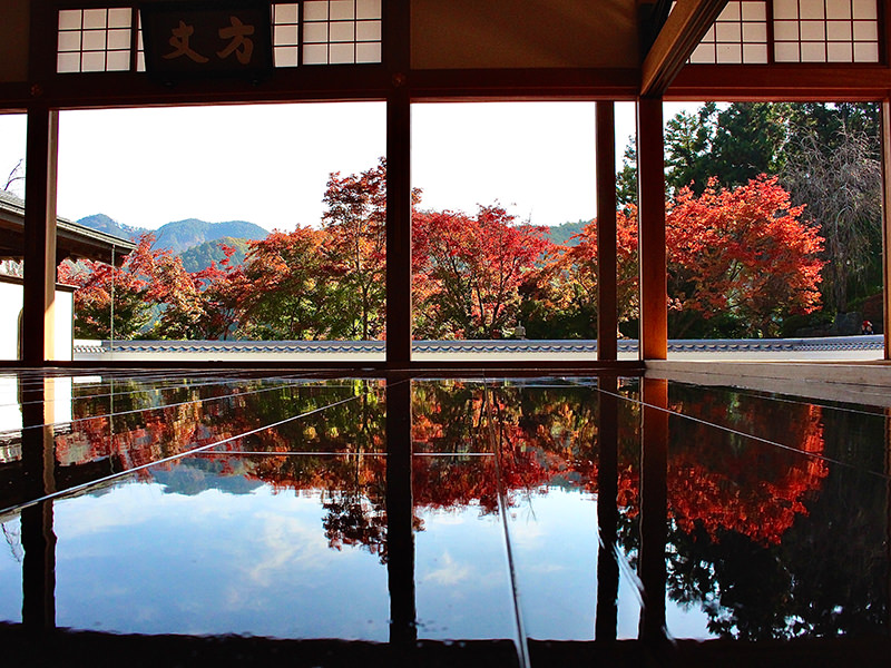 宝徳寺
