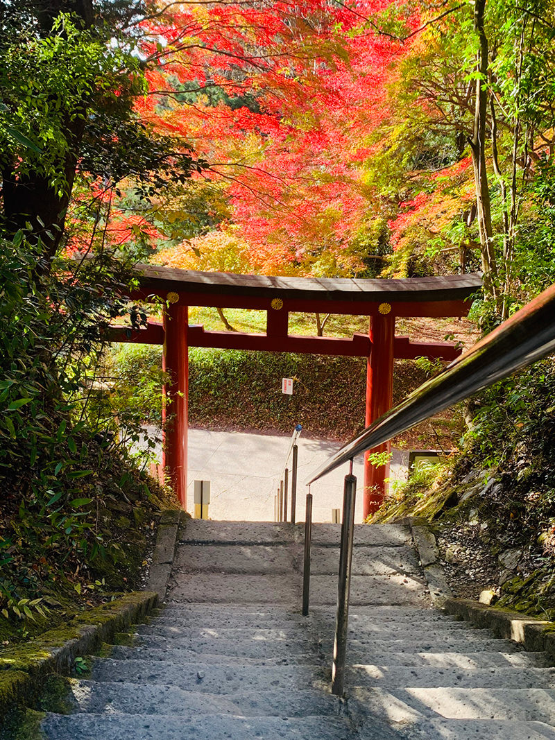 鷲子山上神社