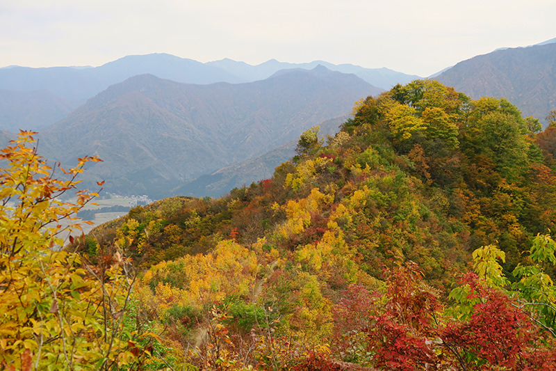 坂戸山の山頂