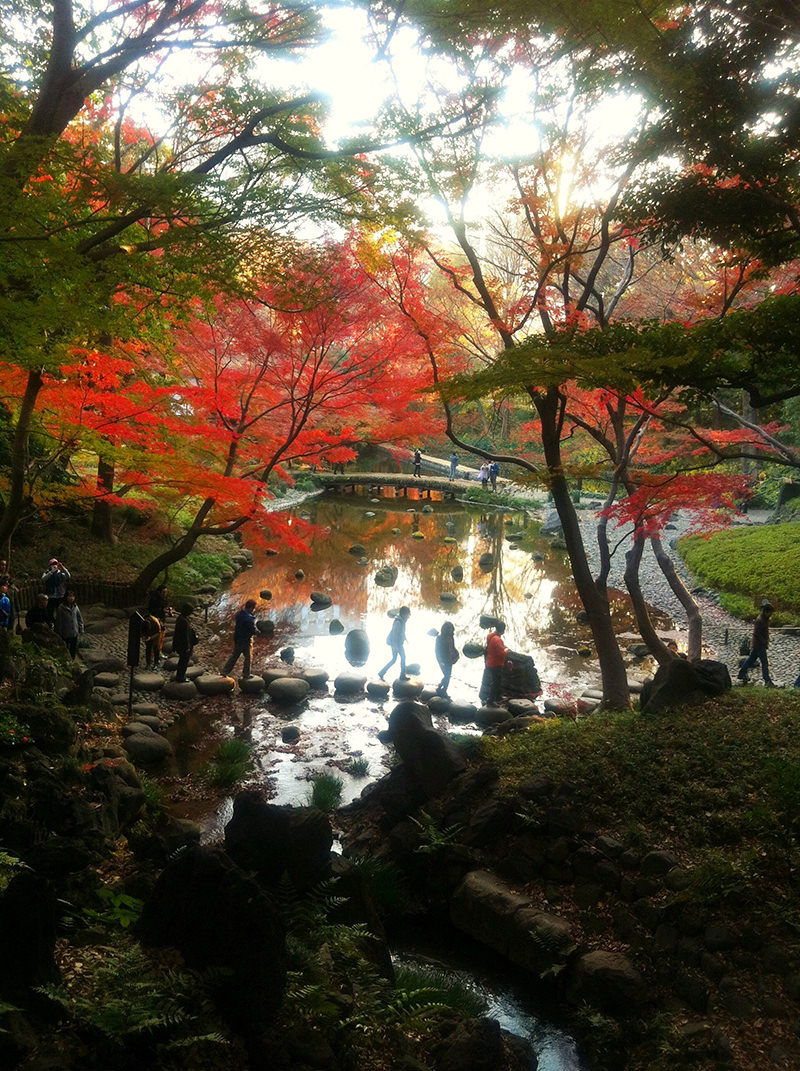 小石川後楽園の紅葉