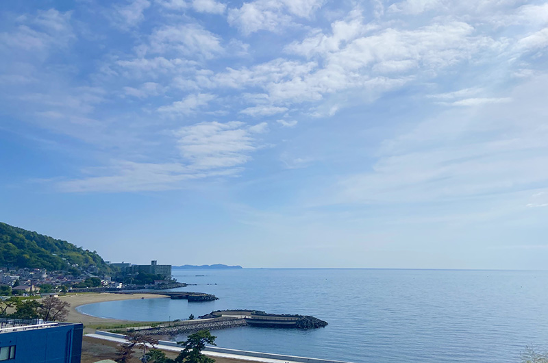 相模湾を一望する景色