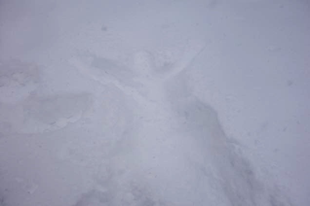 雪 人型