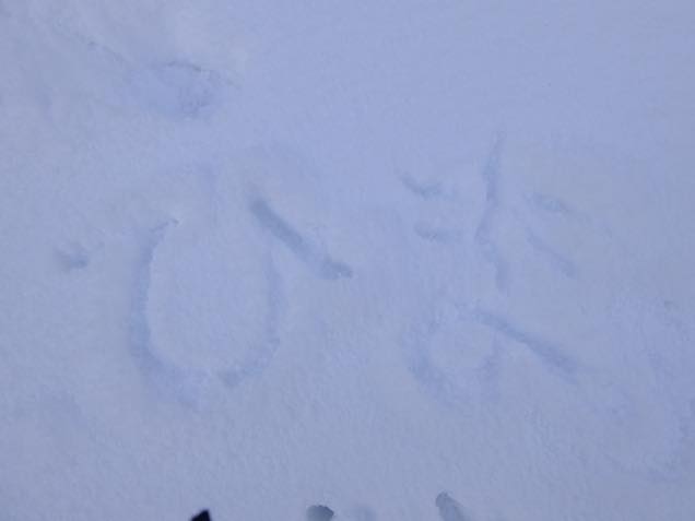 雪に文字
