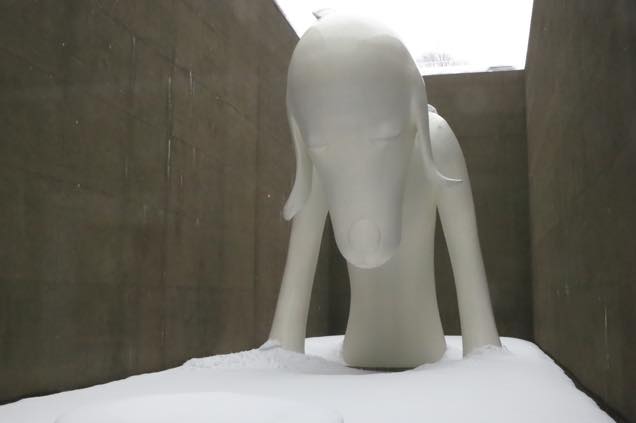 あおもり犬