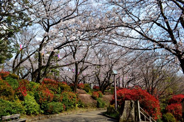 飛鳥山公園