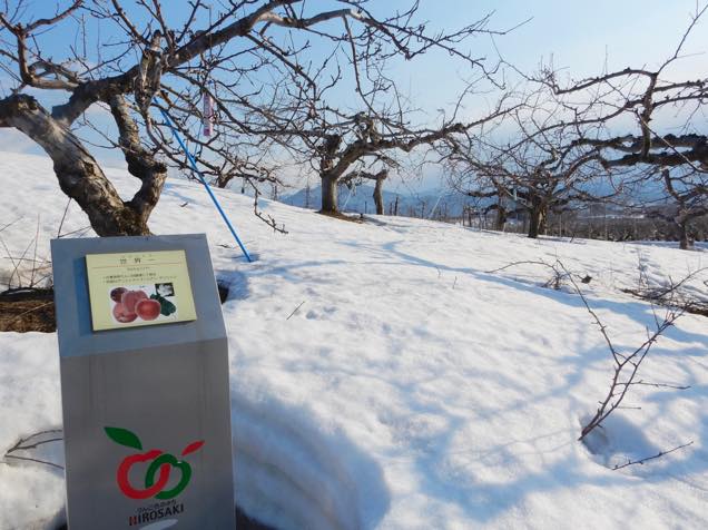 りんご公園