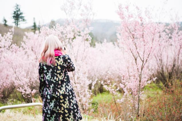 花見山公園の入り口