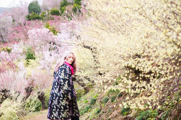花見山公園