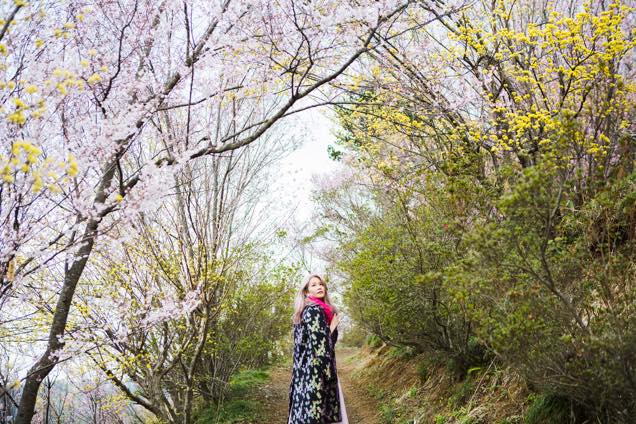 花見山公園