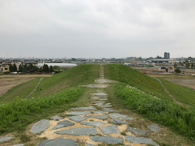 観音山古墳 古墳の上