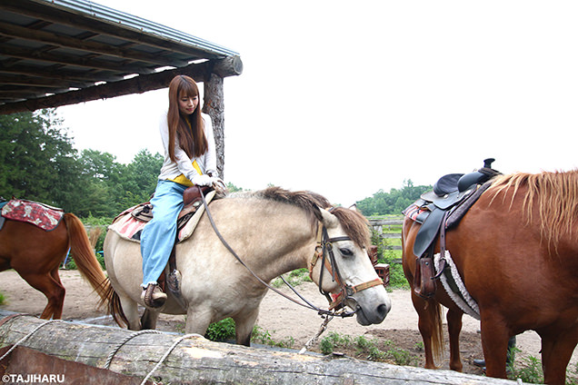 シャロレー牧場　乗馬体験