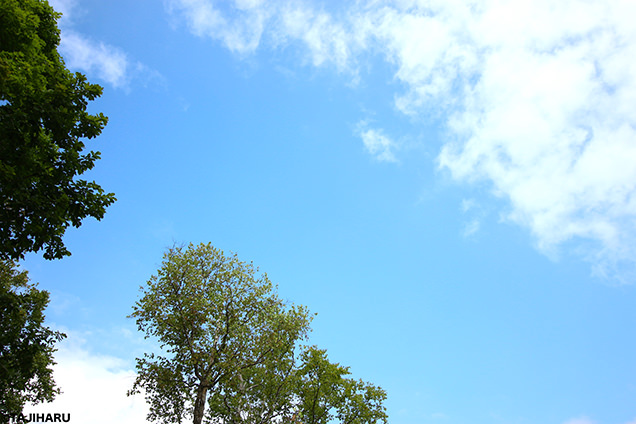 函館大沼プリンスホテル　青空