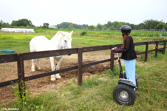 Paard Musée　セグウェイ体験