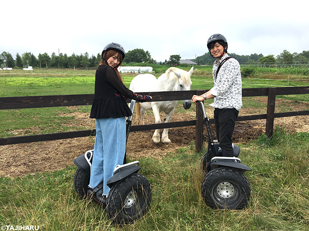 Paard Musée　セグウェイ体験