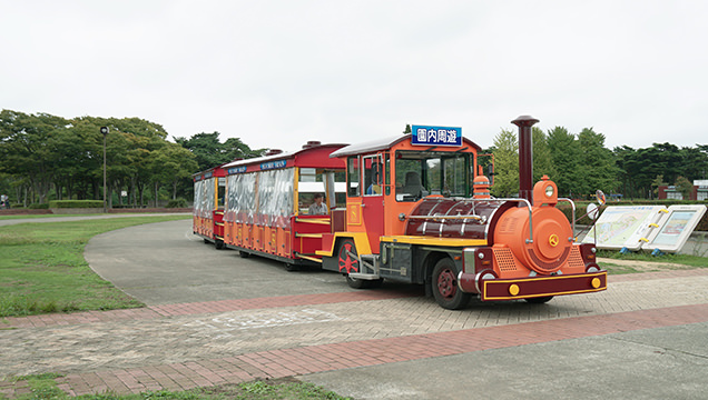 国営ひたち海浜公園　シーサイドトレイン