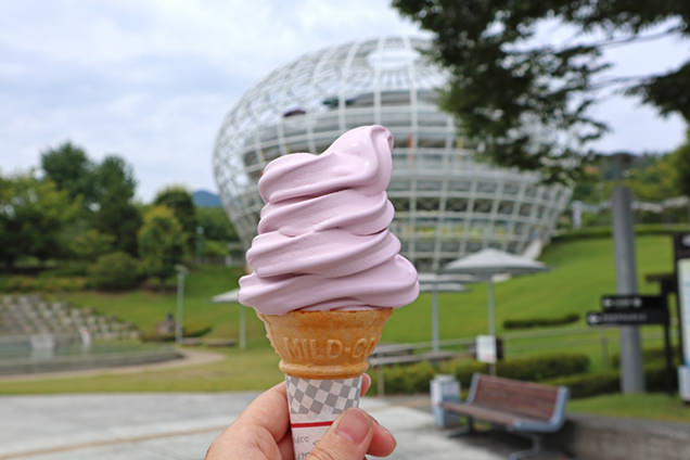 巨峰のソフトクリームなどフルーツを使ったメニューが！