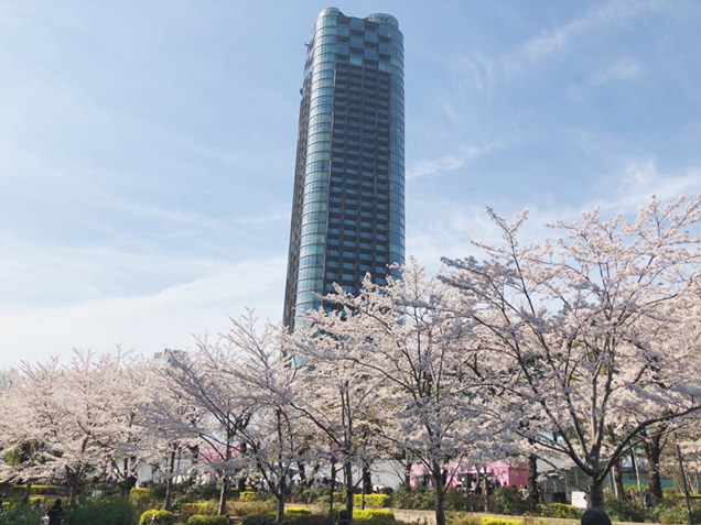 桜とミッドタウン