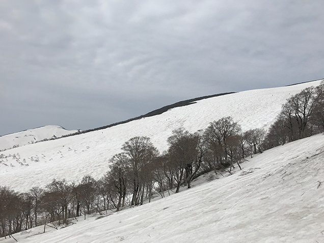 月山スキー場　ゲレンデ