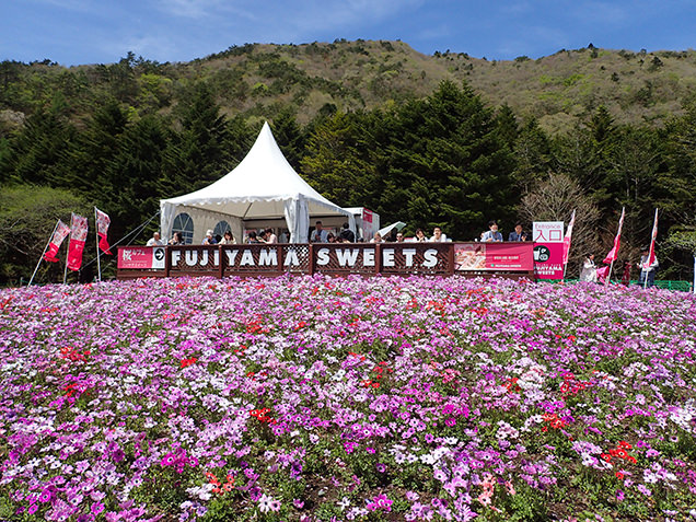 桜カフェ FUJIYAMA SWEETS　外観