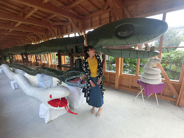 老神温泉朝市　大蛇神輿