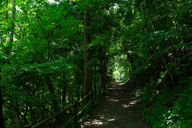 山道