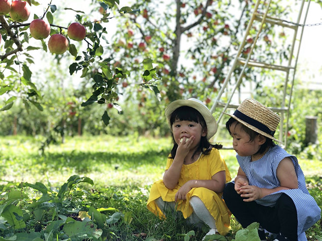 原田農園でりんご狩り