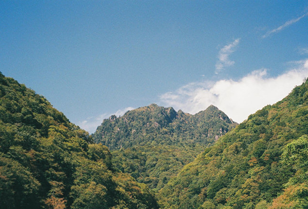 西沢渓谷の自然　山