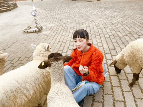 千葉　マザー牧場　はましゃか　動物