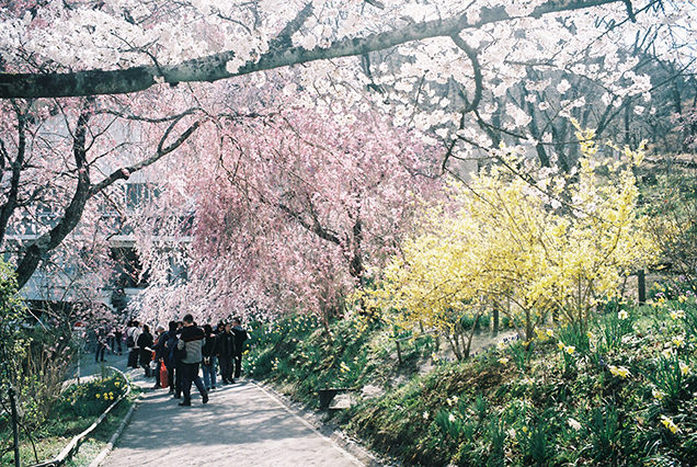 船岡城址公園