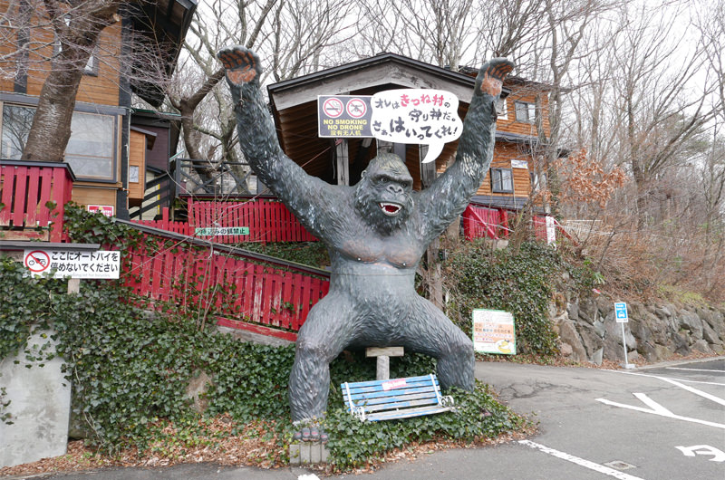 宮城蔵王キツネ村