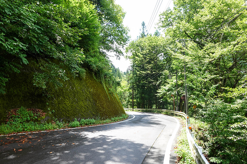 四万温泉から奥四万湖までの道