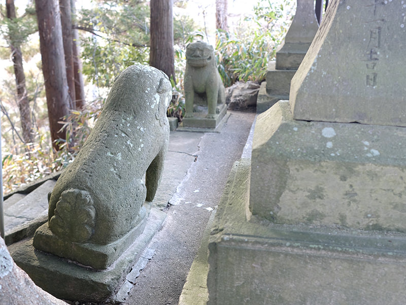 阿形の丸い尾