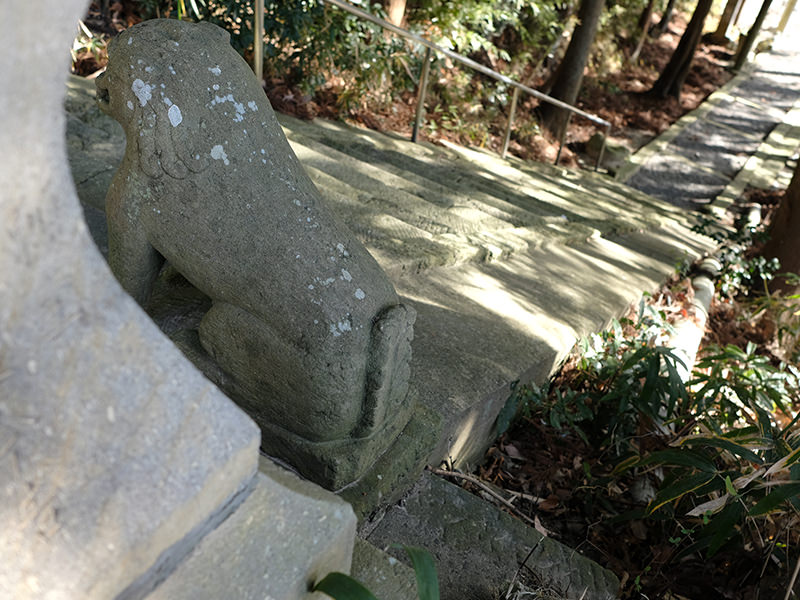 吽形の縦長の尾