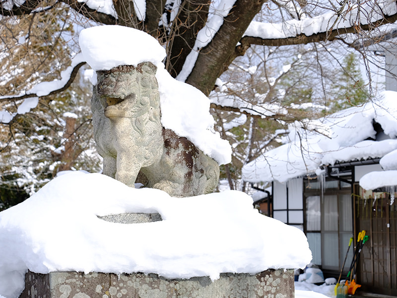 雪を被った狛犬