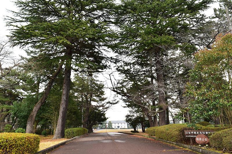 榴岡公園