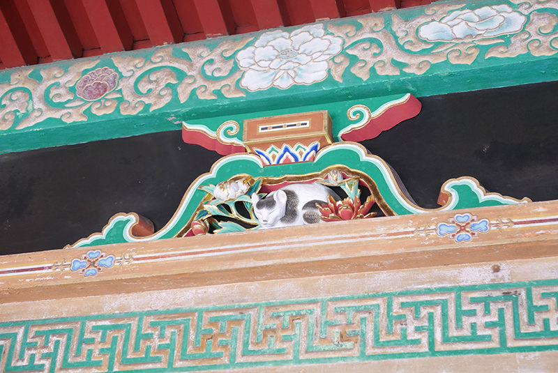 眠り猫