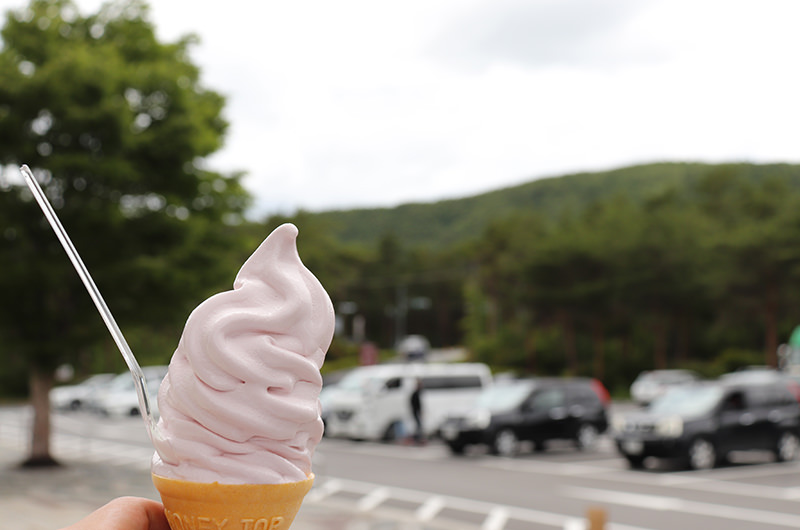 富士桜ソフトクリーム