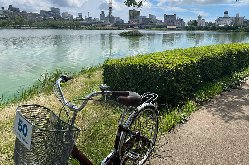 千波湖 レンタサイクル