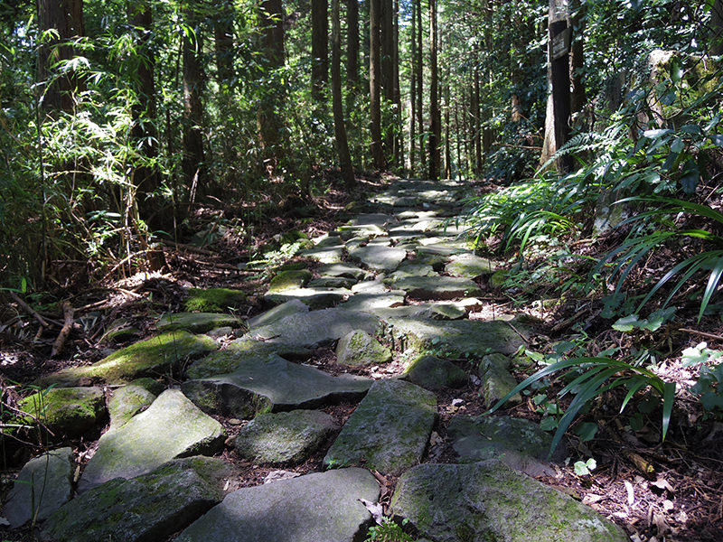 箱根旧街道　石畳