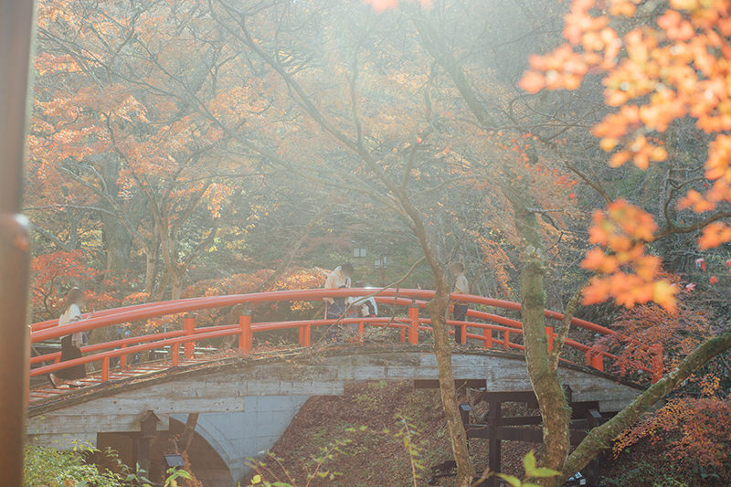 河鹿橋