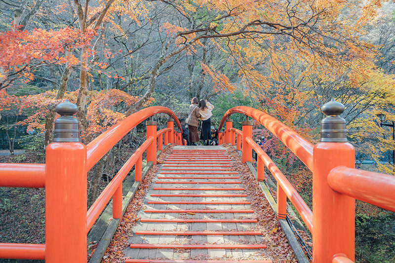 河鹿橋